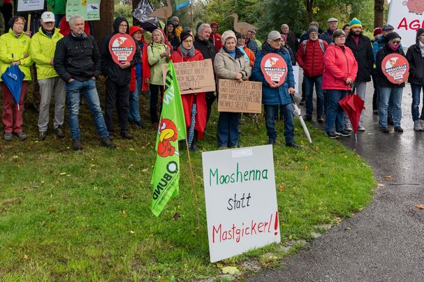 Mooshenna wurden früher die Brachvögel von den Einheimischen genannt.