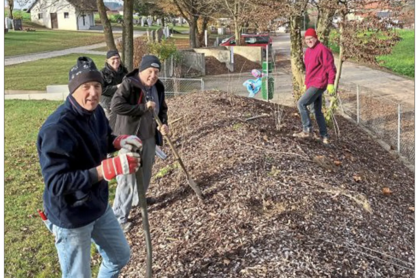 Heckenpflanzung im Friedhof | Bild: Selmansberger Heckenpflanzung im Friedhof
