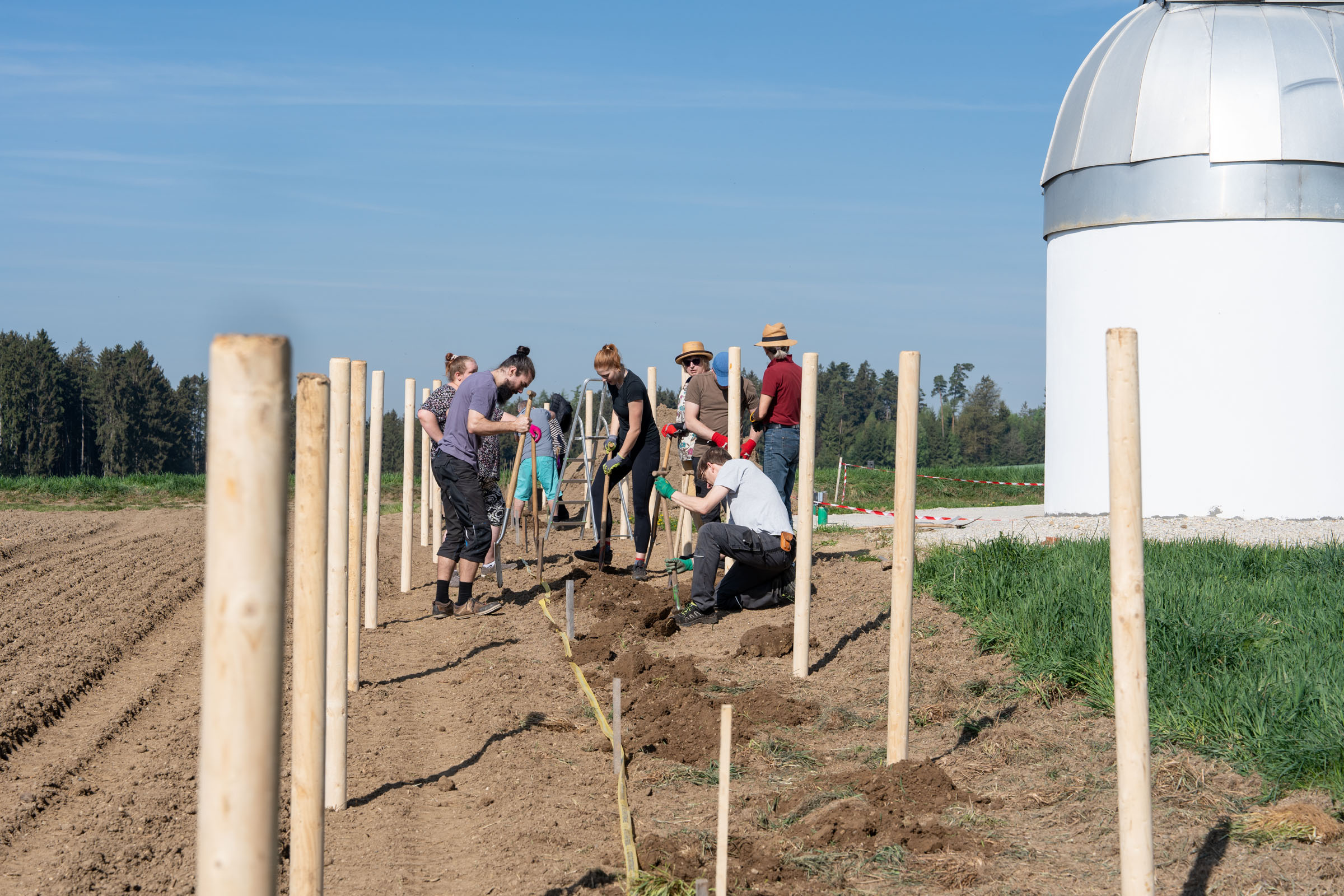 Heckenpflanzung bei der Sternwarte⎜Bild: H.Inkoferer