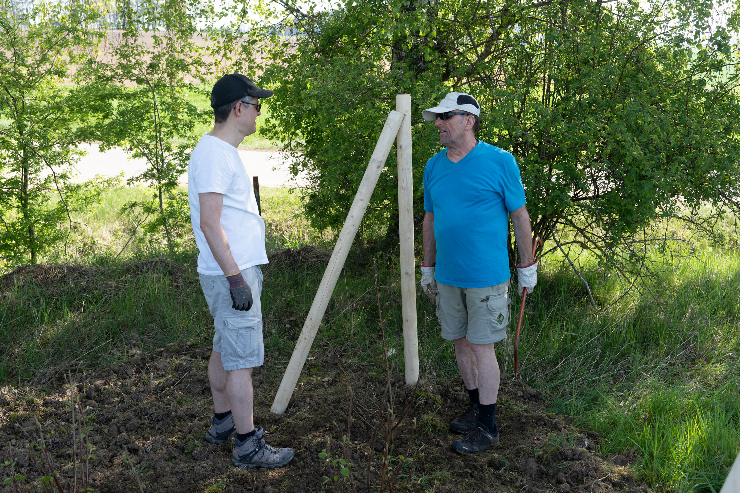Heckenpflanzung bei der Sternwarte⎜Bild: H.Inkoferer