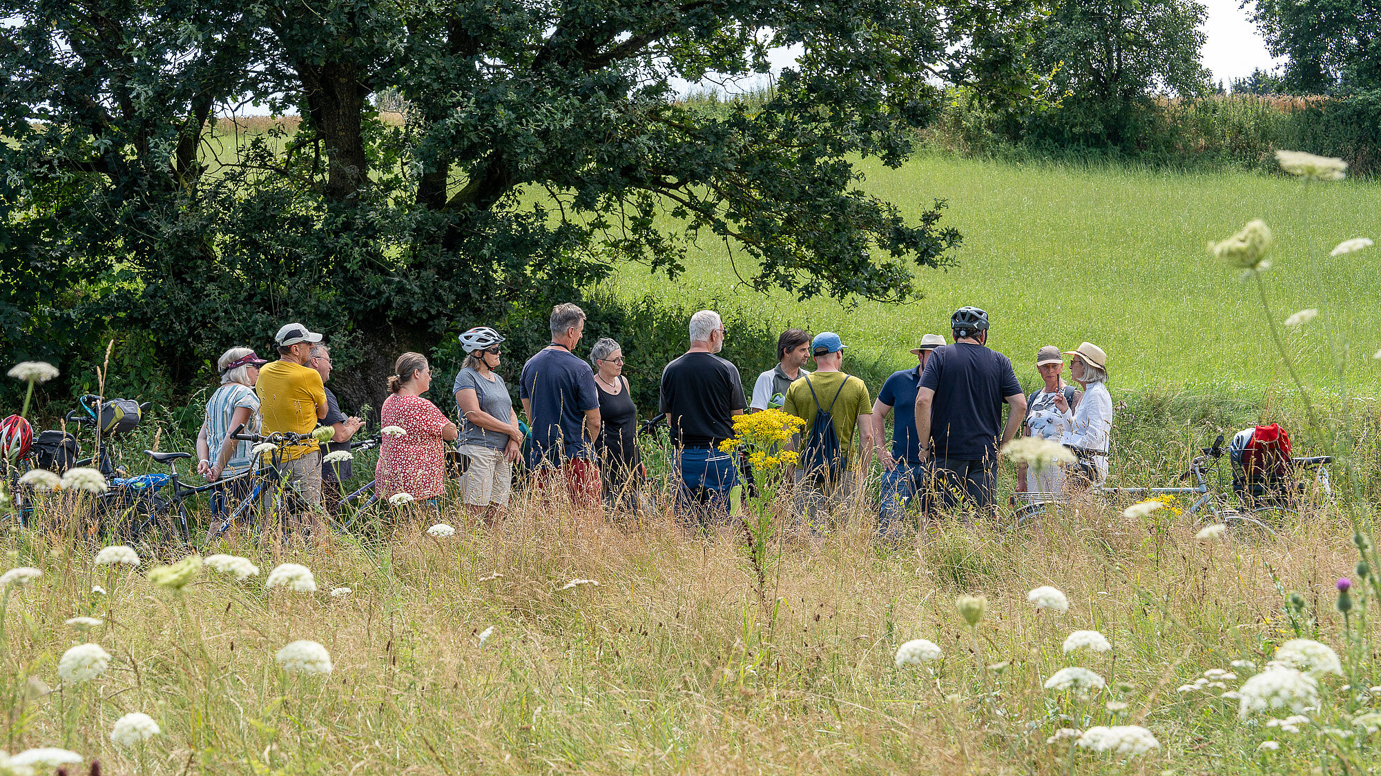 Radlergruppe im Schatten⎜Bild: Heinrich inkoferer