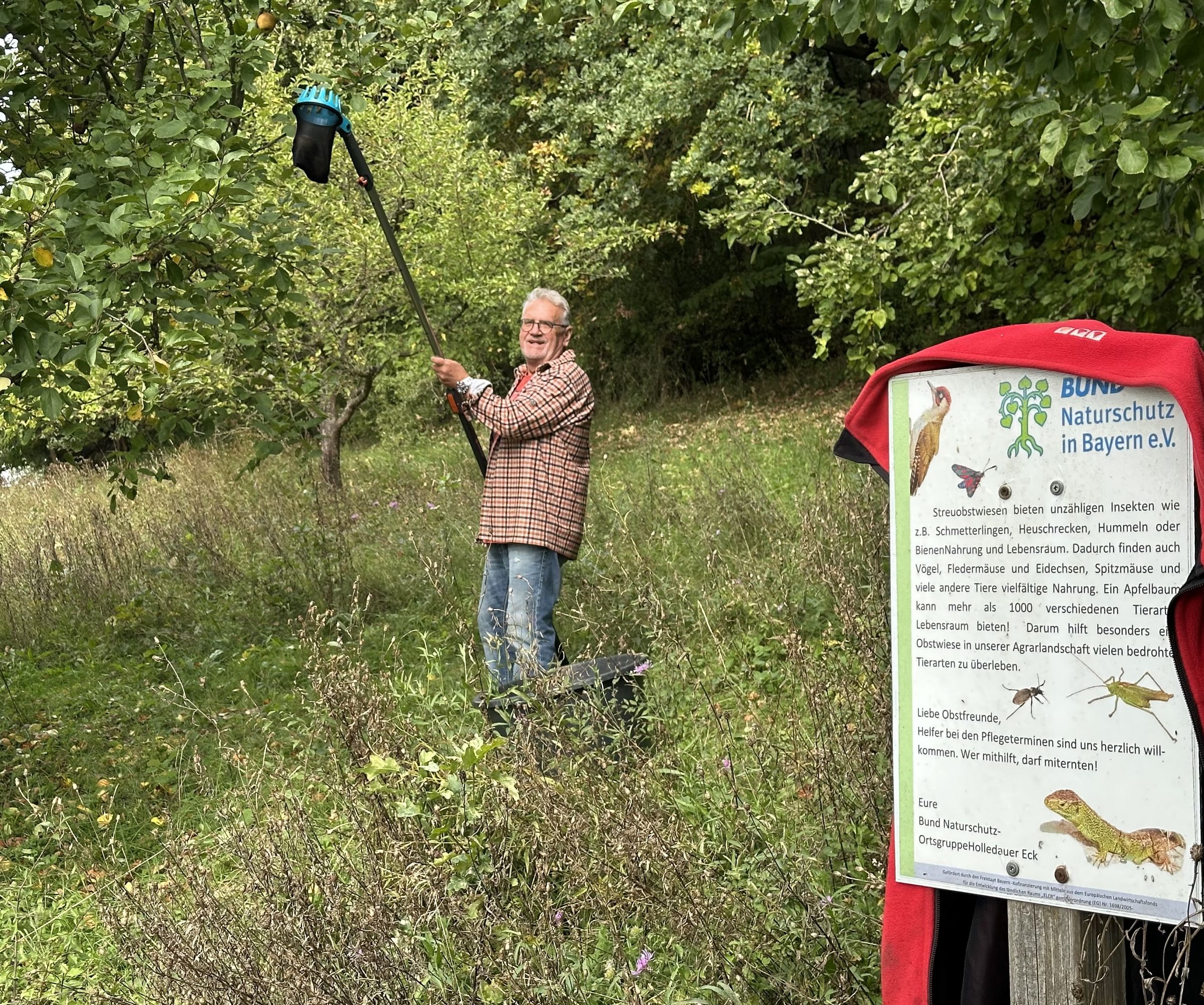 Obsternte auf der BN Streuobstwiese | Bild: Lisa Voit Obsternte BN Streuobstwiese |