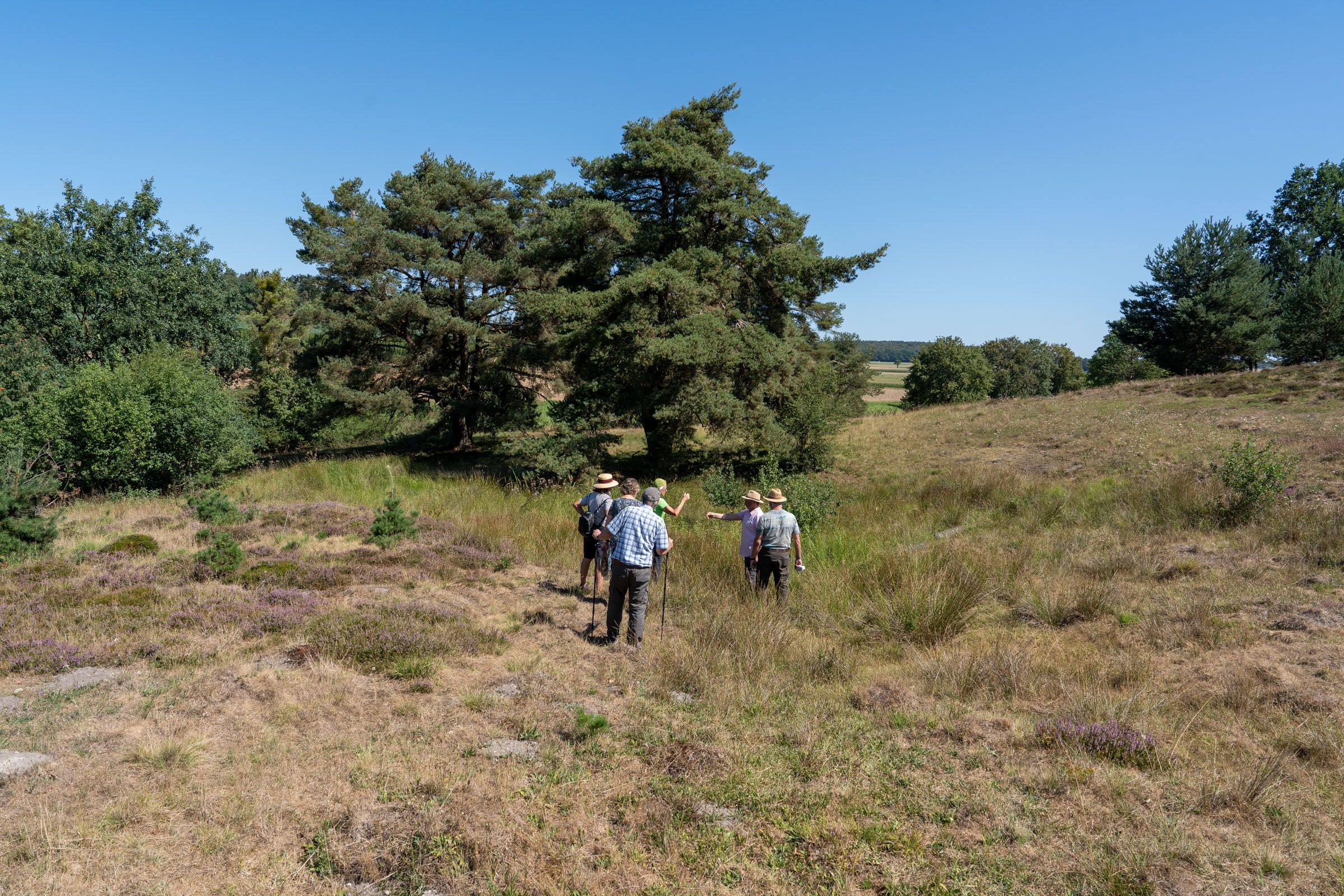 Sandharlander Heide, Quellteich| Foto: Heinrich Inkoferer Sandharlander Heide, Quellteich