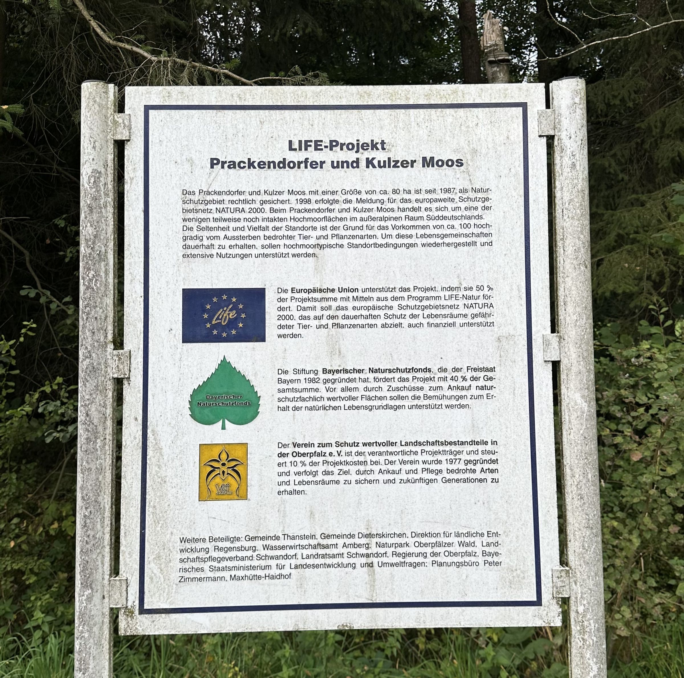 Infotafel Kulzer Moos | Bild: Lisa Voit Infotafel Kulzer Moos
