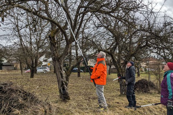 Obstbaumschnitt. Foto: BUND Ortsgruppe Kleines Vilstal