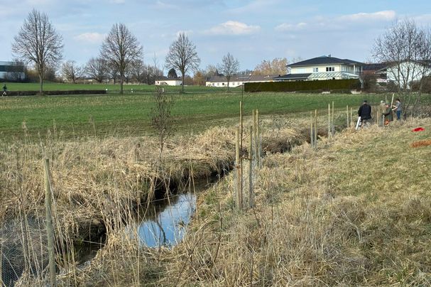 Foto: Wolfgang Kalechstein