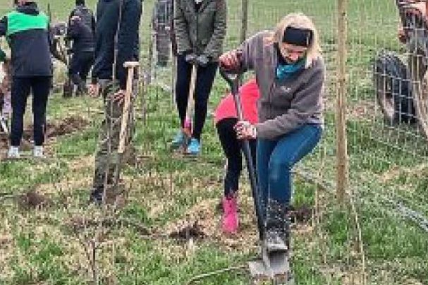 Heckenpflanzung der OG Vilsheim 2026 | Bild: Petra Schneider Heckenpflanzung der OG Vilsheim