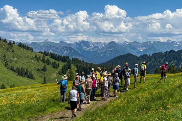 Almwiesen Riedberger Horn | Bild: Heinrich Inkoferer Almwiesen Riedberger Horn
