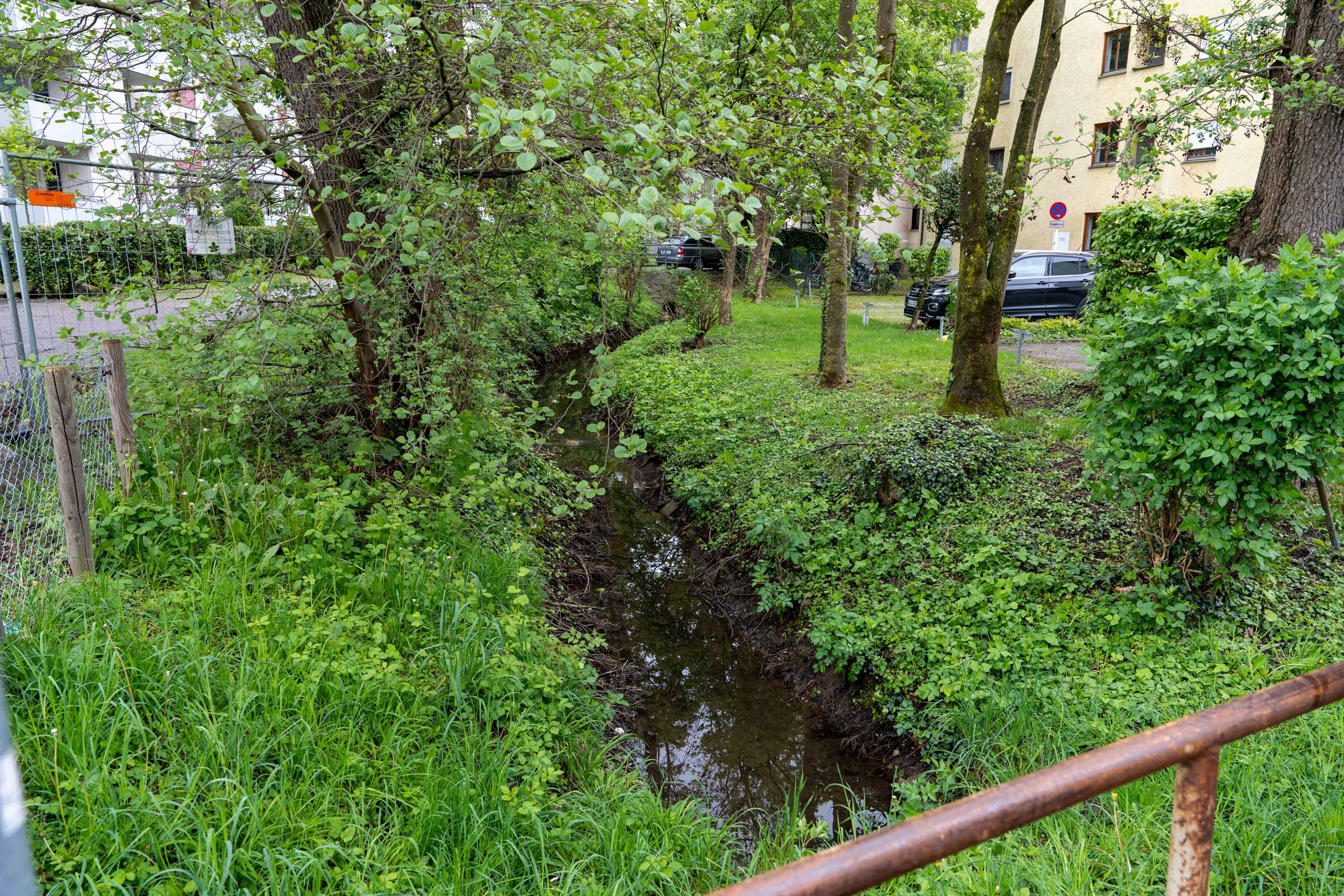 Ein Teilbereich der "Rückläufigen" Pfettrach⎜Bild: H.Inkoferer