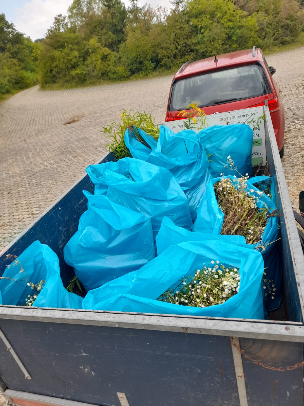 Bild: BN OG Landshut